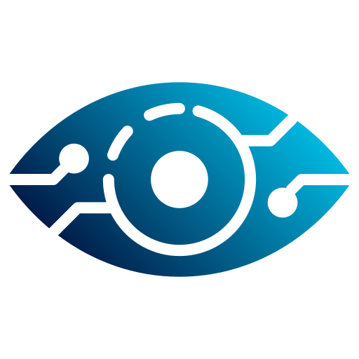 Vision